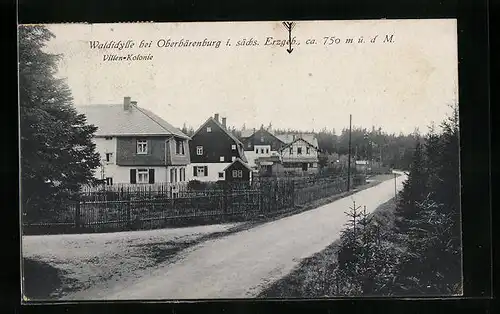 AK Oberbärenburg / Sächs. Erzgeb., Waldidylle mit Villenkolonie