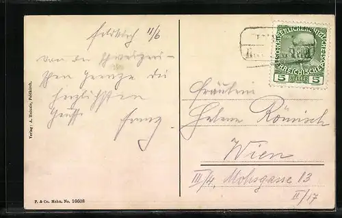 AK Feldkirch, Blick vom Berg auf die Stadt