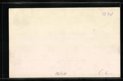 AK Bludenz, Totale mit Scesaplana