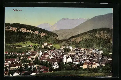 AK Feldkirch, Totale von der Bergwiese aus gesehen