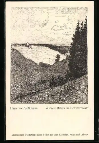 Künstler-AK Hans von Volkmann: Wiesentälchen im Schwazwald