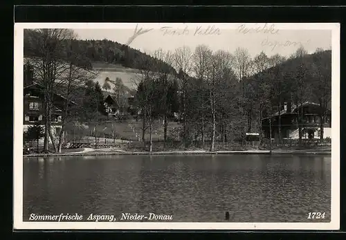 AK Aspang, Partie an der Niederdonau