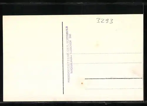 AK Lunz a. See, Schloss, Scheiblingstein, Totalansichten