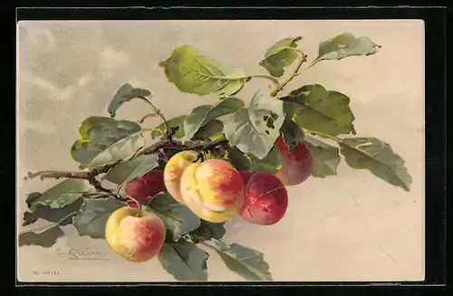 Künstler-AK Catharina Klein: Pfirsiche am Baum