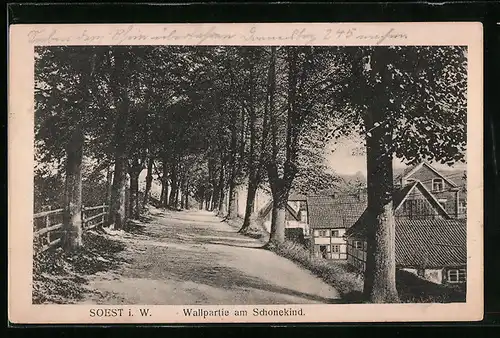 AK Soest i. W., Wallpartie am Schonekind mit Bäumen