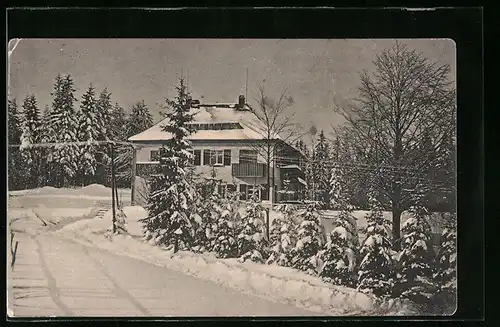 AK Bad Reiboldsgrün i. Vogtl., Villa Zöbischhöhe im Schnee
