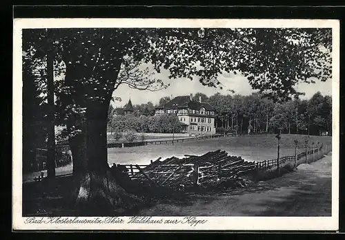 AK Bad Klosterlausnitz, Waldhaus zur Köppe