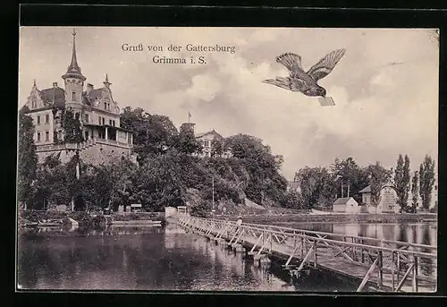 AK Grimma i. S., Blick zur Gattersburg