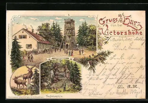 Lithographie Victorshöhe /Harz, Aussichtsturm, Teufelsmühle, Zwei Hirsche