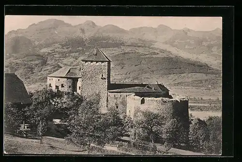 AK Vaduz, Schloss Vaduz mit den Schweizer Bergen