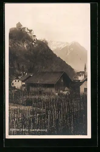 AK Vaduz, Schloss Vaduz