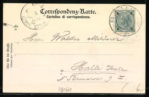 AK Gargnano /Lago di Garda, Panorama