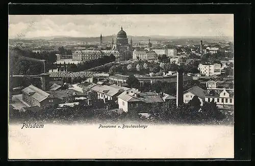 AK Potsdam, Panorama vom Brauhausberge