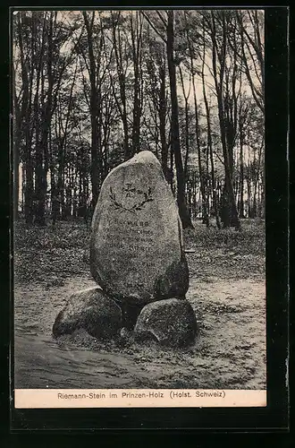 AK Malente, Riemann-Stein im Prinzen-Holz