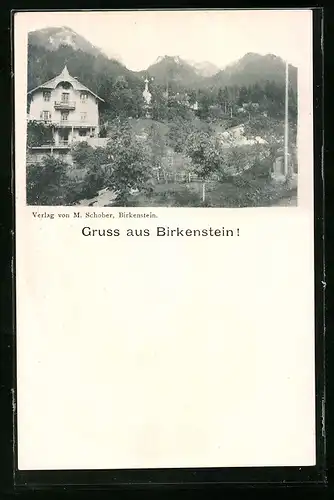 AK Birkenstein, Teilansicht aus der Vogelschau
