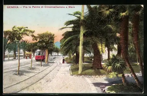 AK Genova, Fra le Palme di Circonvallazione a Mare, Strassenbahn