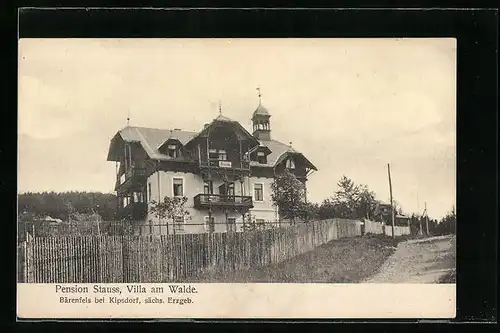 AK Bärenfels bei Kipsdorf, Pension Stauss, Villa am Walde