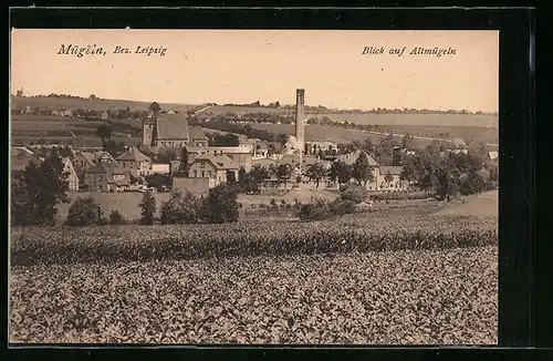 AK Mügeln, Blick auf Altmügeln