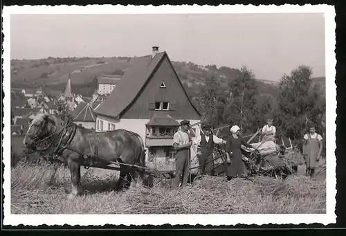 Fotografie unbekannter Fotograf, Ansicht Niederstetten, Bauernfamilie bei der Heuernte