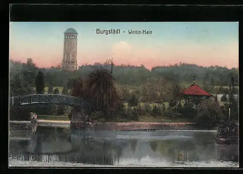 AK Burgstädt, am Wettin-Hain