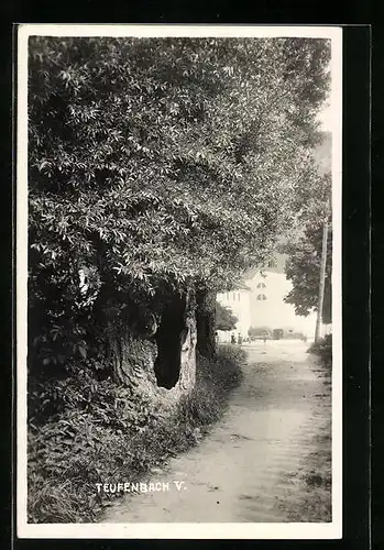 AK Teufenbach, Alte Weide am Feldweg