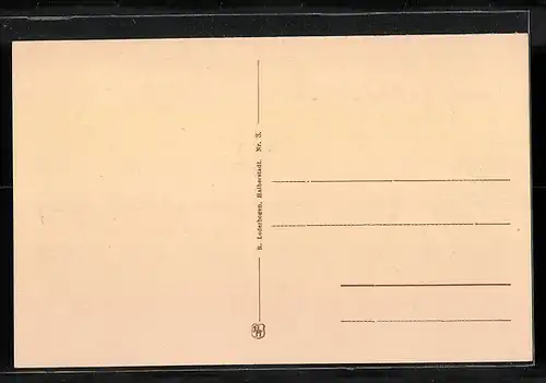 AK Wernigerode, Rathaus mit Brunnen