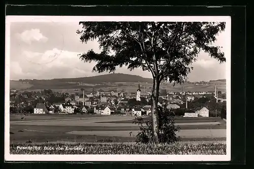 AK Pulsnitz /Sa., Teilansicht vom Eierberg aus