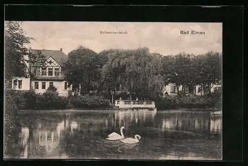 AK Bad Elmen, Der Schwanenteich