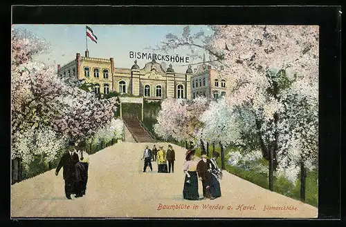 AK Werder a. Havel, Gasthaus Bismarckshöhe in der Baumblüte