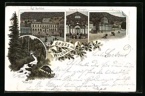 Lithographie Wildbad, Königliches Karlsbad, Trinkhalle, Inneres der Trinkhalle