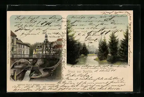 AK Apolda, Schötner Grund und Promenade, Oberer Teich