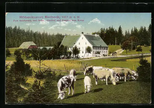AK Escheck, Gasthof und Pension zum Kreuz