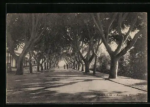 AK Ismailia, Avenue Ghichar