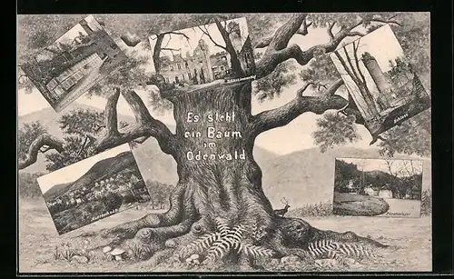 AK Auerbach a. d. B., Ortsansicht, Schloss, Fürstenlager - Bilder vor einem Baum im Odenwald