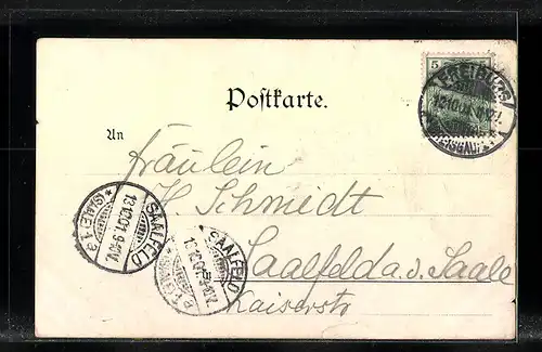 Lithographie Freiburg i. Br., Teilansicht, Münster, Sieges-Denkmal