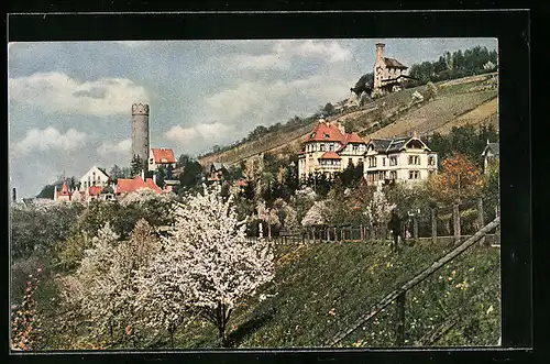 AK Ravensburg, Häuser am Stadtrand