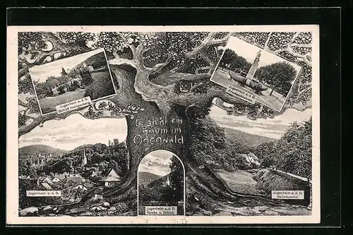 AK Jugenheim a. d. B., Kirche und Schloss, Friedensbrunnen, Schloss Heiligenberg