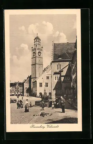 AK Ravensburg, Viehmarkt mit Brunnen