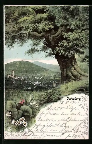 AK Godesberg, im Vordergrund ein imposanter Baum