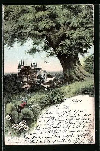 AK Erfurt, Blick zum Dom mit Baum im Vordergrund