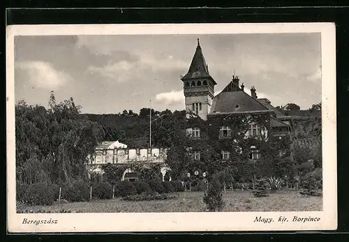 AK Beregszász, Magy. kir. Borpince