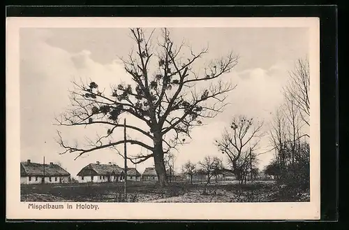 AK Holoby, Ortspartie mit Mispelbaum