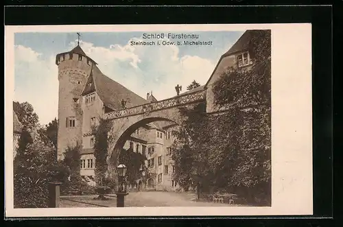 AK Steinbach i. Odw., Schloss Fürstenau mit Portal