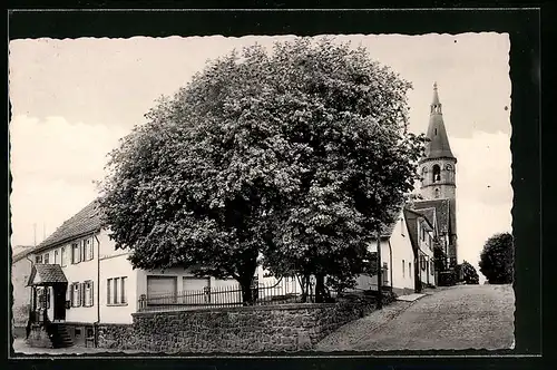 AK Beerfelden /Odenwald, Jugendherberge mit Strassenpartie