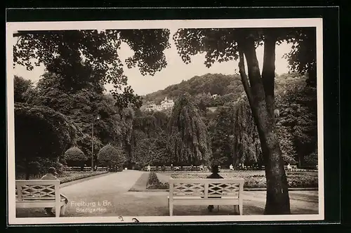 AK Freiburg i. Br., Stadtgarten mit Parkbänken