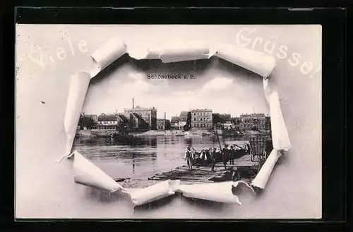AK Schönebeck a. E., Ortsansicht mit Hafenpartie