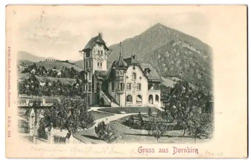 Relief-AK Dornbirn, Ansicht einer Villa mit Grünanlagen