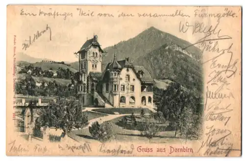 Relief-AK Dornbirn, Ansicht einer Villa mit Grünanlagen