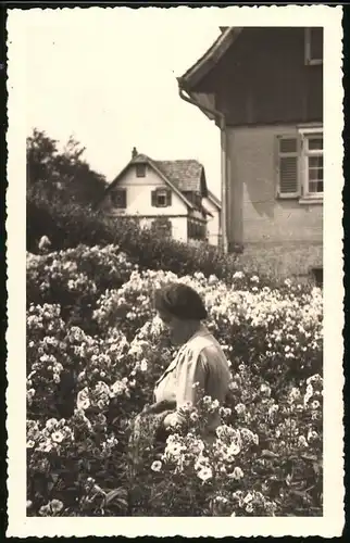 Fotografie unbekannter Fotograf, Ansicht Grunbach, betagte Dame auf einer Blumenwiese 1938