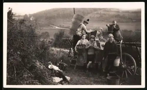 Fotografie unbekannter Fotograf, Ansicht Niederstetten, Winzer-Familie bei der Weinernte, Weinlese